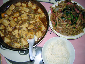 �h���͂��܂��I