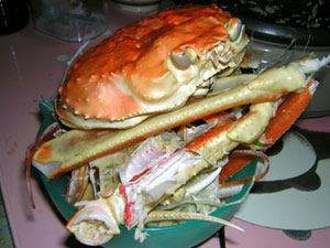 �����������܂ł����[